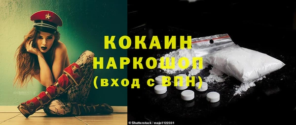 стафф Алексин