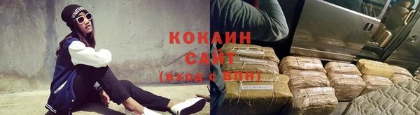 стафф Алзамай