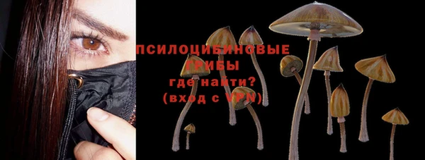 стафф Алзамай