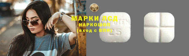 стафф Алзамай