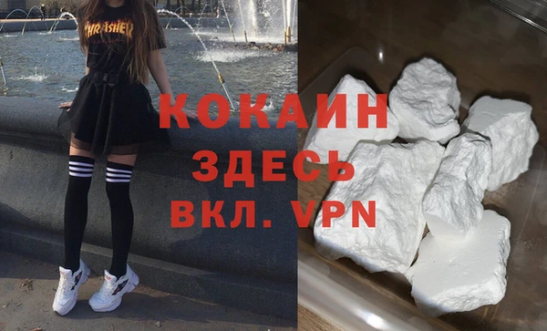 стафф Алексин