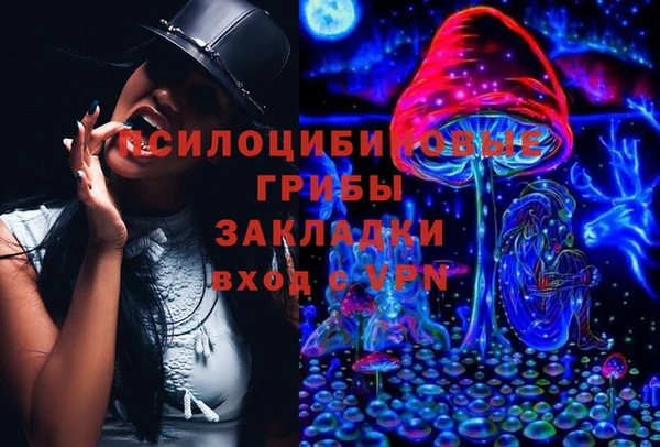 стафф Алзамай