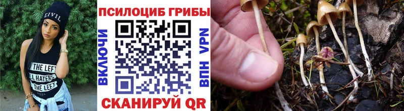 где продают   Перевоз  Псилоцибиновые грибы мухоморы 